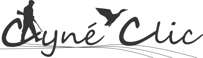 logo cyneclic